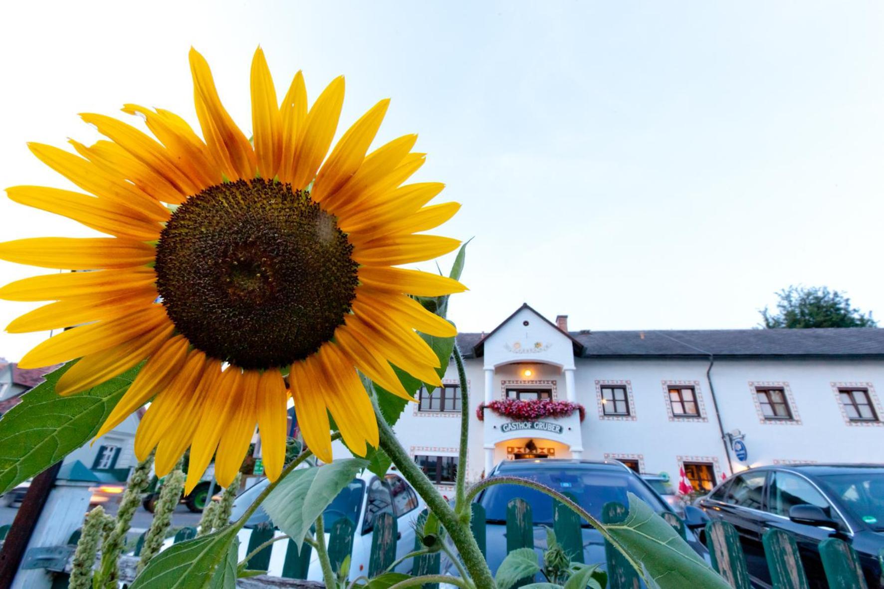 Gasthof Siegfried Gruber Hartmannsdorf Exteriér fotografie